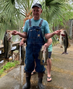 Click to view IMG_4195 2.jpg